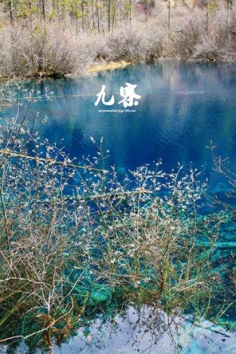 救援老画家