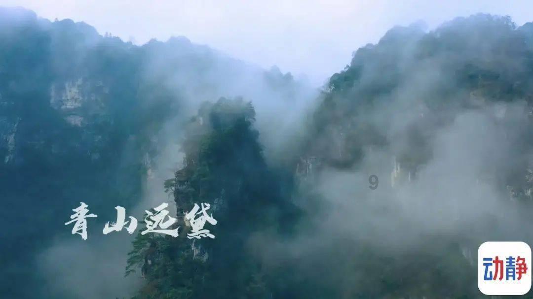 中华财险菏泽中支举行最佳风采员工颁奖典礼